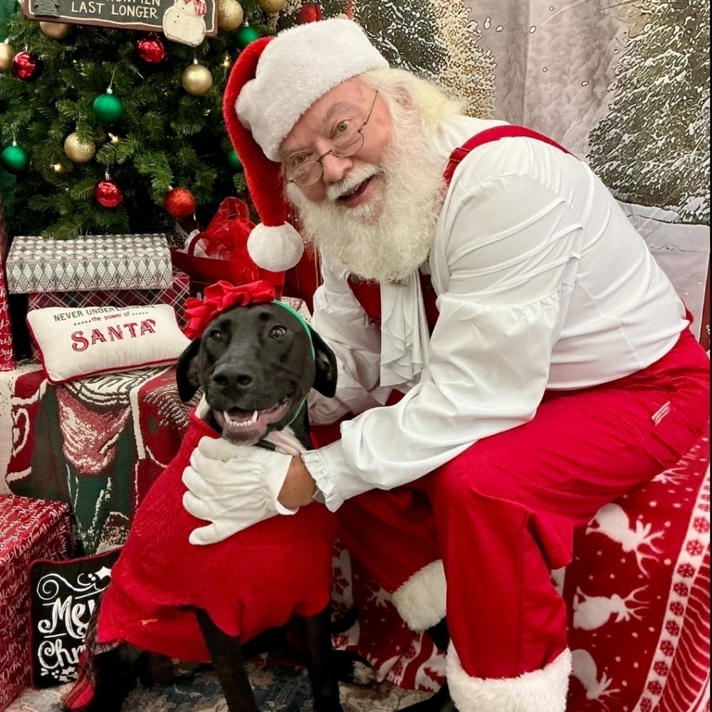 Meet your Posher, Megan!